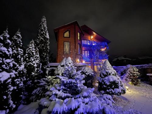 Luxury Villa with pool and sauna v zimě