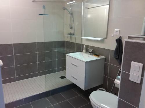 a bathroom with a shower and a toilet and a sink at Le petit St Blaise in Sainte-Marie-aux-Mines