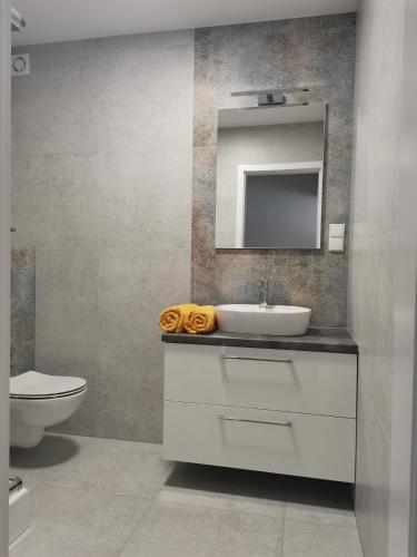 a bathroom with a sink and a toilet and a mirror at Robtom in Ostrowo