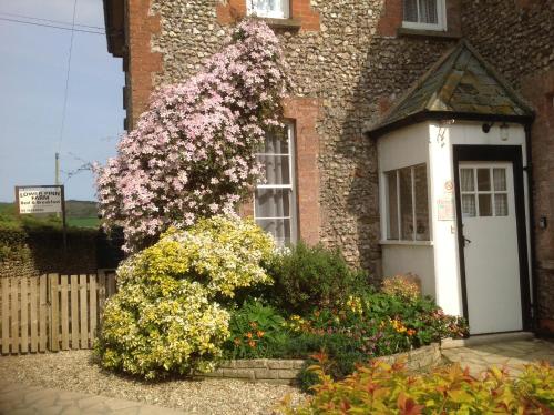 Foto de la galería de Lower Pinn Farm en Sidmouth