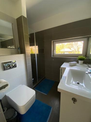 a bathroom with a sink and a toilet and a shower at Luxury Garden House II In The Center in Balatonfüred