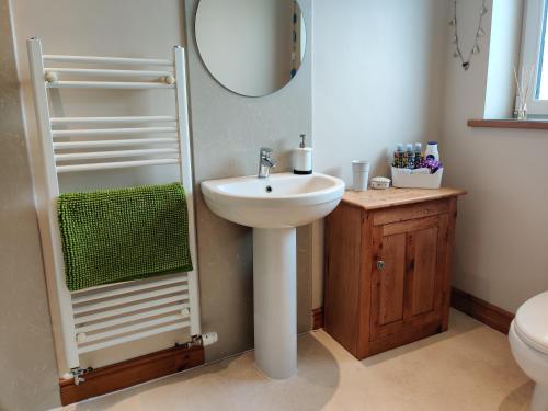 a bathroom with a sink and a mirror at Nant Gloyw Oswestry in Oswestry