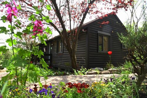 Jardin de l'établissement Numa Emek-Countryside Guesthouse in Yokneam Moshava