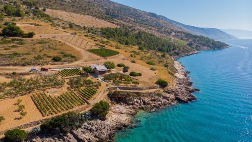 Gallery image of Rural vacation house Shala in Bol