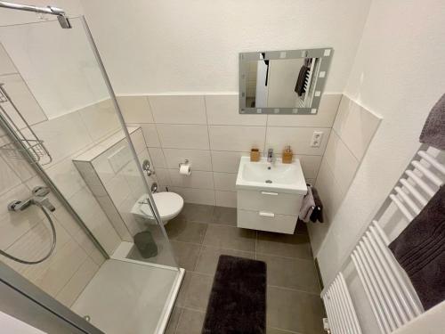 La salle de bains est pourvue de toilettes, d'un lavabo et d'une douche. dans l'établissement Ferienwohnung Apothekerhaus, à Bad Sassendorf