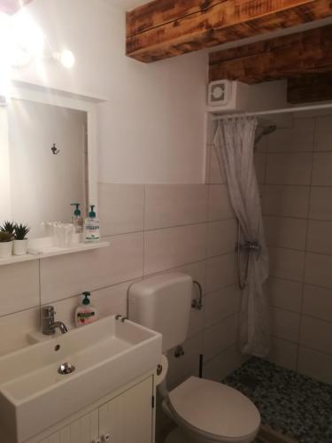 a bathroom with a white toilet and a sink at Skalameri in Kozljak