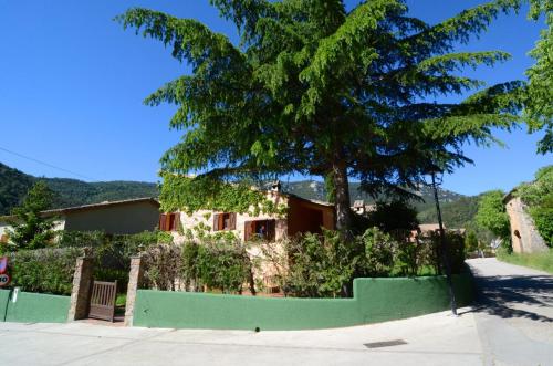 Billede fra billedgalleriet på CASA TERESA i Albanya