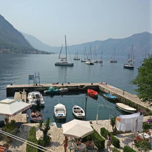 un gruppo di barche sono ormeggiate in un porto di Levanat 1 a Kotor (Cattaro)