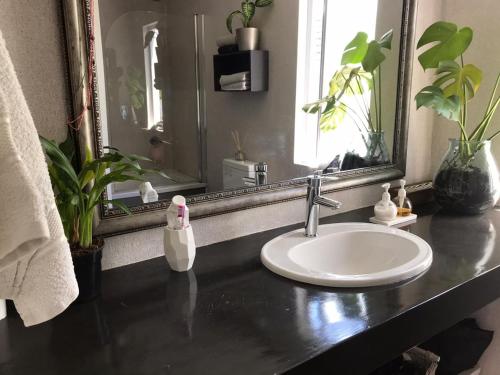 a bathroom counter with a sink and a mirror at Knysna Budget Friendly Stay in Knysna