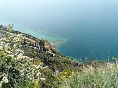 a view of the ocean from a hill with flowers at AGRITURISMO COLOMBARE TEBOI in Lazise
