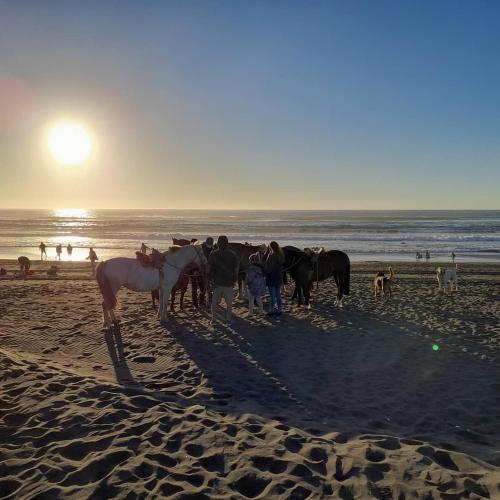 Gallery image of Morros House Pichilemu in Pichilemu