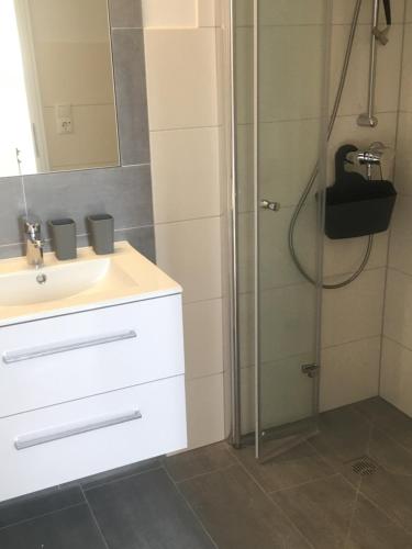 a bathroom with a sink and a shower at Ferienwohnanlage Sturmhöhe in Welt