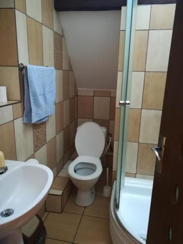 a bathroom with a toilet and a sink and a shower at Casa Maria in Şura Mică