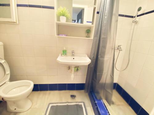 Un baño con inodoro, lavabo y ducha. en Thisio Loft, en Atenas