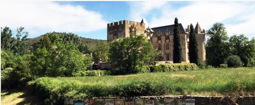 un vieux château installé au sommet d'une colline dans l'établissement Gîte Ciel Bleu Château d'Allemagne En Provence, à Allemagne-en-Provence