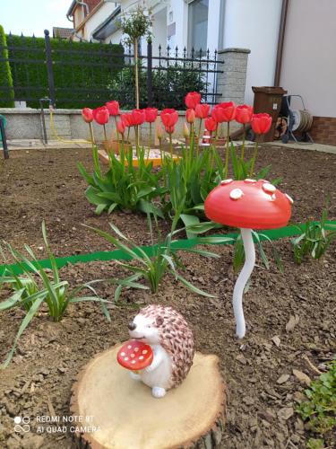 a garden with red flowers and a mushroom at Forrás-G Vendégház in Bük