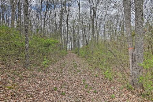 a dirt road in the woods with trees at Cozy Bidwell Cabin with Deck Trail and Creek Access! in Bidwell