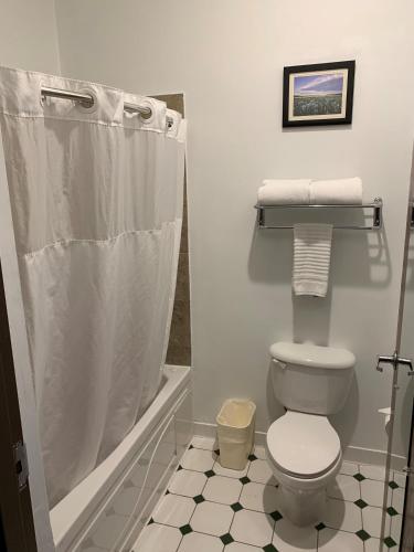 a bathroom with a toilet and a shower at Comfort Inn Crystal Lake - Algonquin in Crystal Lake
