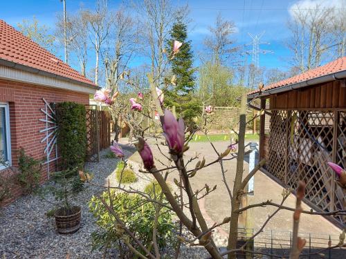 Taman di luar Gästehaus am Bahnhof Norddeich