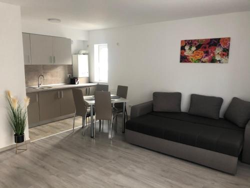 ein Wohnzimmer mit Sofa und Tisch in der Unterkunft Elena-Maria Apartments in Buşteni