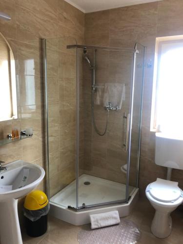 a bathroom with a shower and a toilet and a sink at Elena-Maria Apartments in Buşteni
