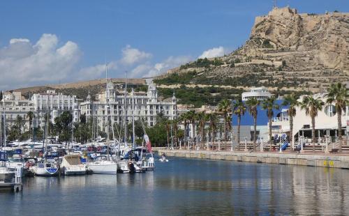 a group of boats docked in a harbor with a mountain at S&H La Malasaña in San Vicente del Raspeig