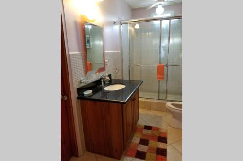 a bathroom with a sink and a shower and a toilet at Shalom apartment in Scarborough