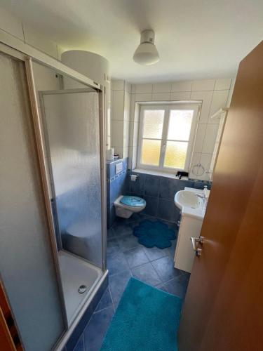 een badkamer met een douche, een toilet en een wastafel bij Ferienwohnung am Traunsee in Altmünster