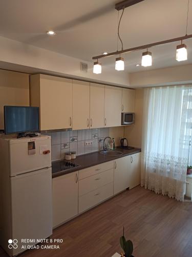Cuina o zona de cuina de Nelli apartamentai