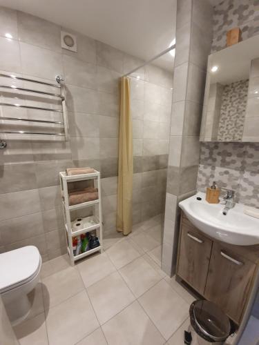 ein Bad mit einem WC, einem Waschbecken und einer Dusche in der Unterkunft Dzintaru apartaments in Liepāja