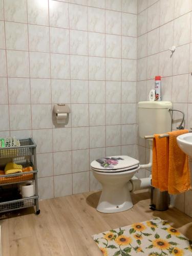 a bathroom with a toilet and a sink at Apartments Sončnica in Moravske Toplice