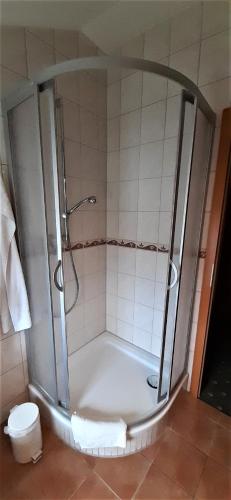 a shower in a bathroom with a toilet at Hotel Meereswelle - Anno 1875 in Ahlbeck