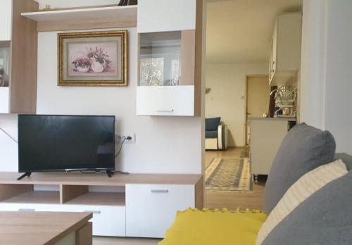 a living room with a flat screen tv and a couch at Stari dud Beserovina in Bajina Bašta