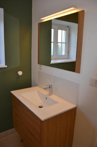 une salle de bain avec un lavabo et un miroir dans l'établissement Appartement 1 chambre à la campagne à 6 km de Wimereux, à Pernes-lès-Boulogne