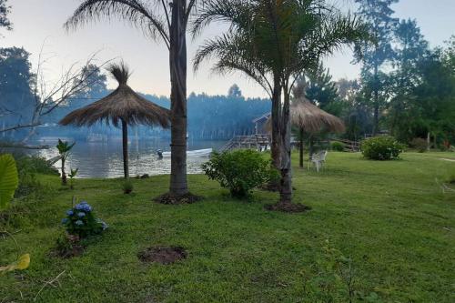 a lawn with palm trees and a body of water at Cabaña “Juancho”(Canal Arias,Tigre) in Dique Luján