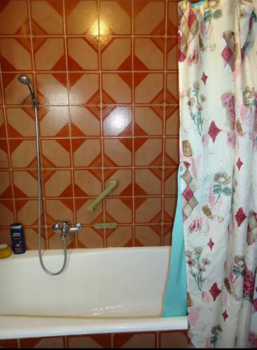 a shower in a bathroom with a shower curtain at Room in apartment with a host in the center of Bar in Bar