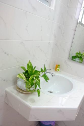 a bathroom with a white sink with a plant on it at WeRest Hotel in Khon Kaen