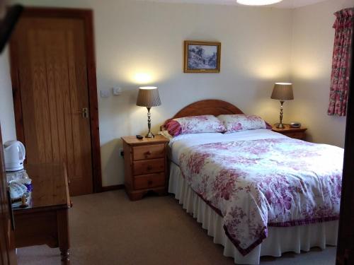 um quarto com uma cama e 2 candeeiros nas mesas em Alltyfyrddin Farm Guest House at The Merlin's Hill Centre em Carmarthen