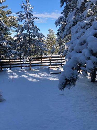 Apartmani Tornik-Planinska Kuća Zdravković en invierno
