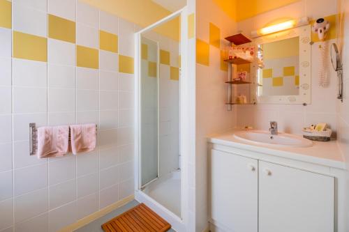 een badkamer met een douche en een wastafel bij Au Coeur de Meaulne in Meaulne