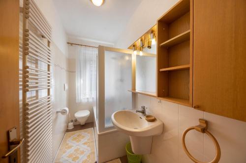 uma casa de banho com um lavatório, um WC e um chuveiro em Appartamento Primavera 1 em Moena