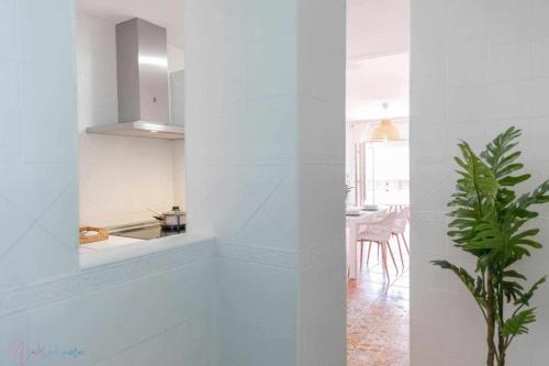kuchnia z białymi ścianami i roślina w pokoju w obiekcie Apartamento nuevo junto a la playa , vistas al mar w mieście Punta Umbría