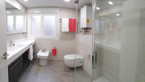 y baño con aseo, lavabo y ducha. en Apartamento NATURA Céntrico ascensor cocina WIFI en Zaragoza by lodom, en Zaragoza