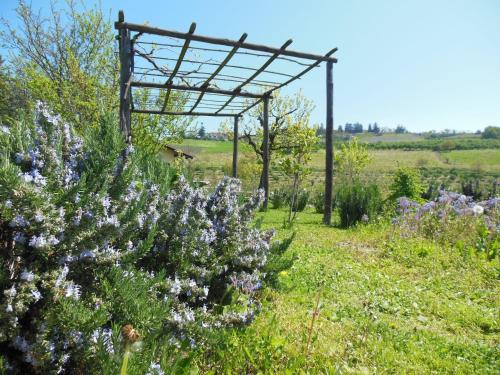 Zahrada ubytování Agriturismo Affittacamere Barbarossa