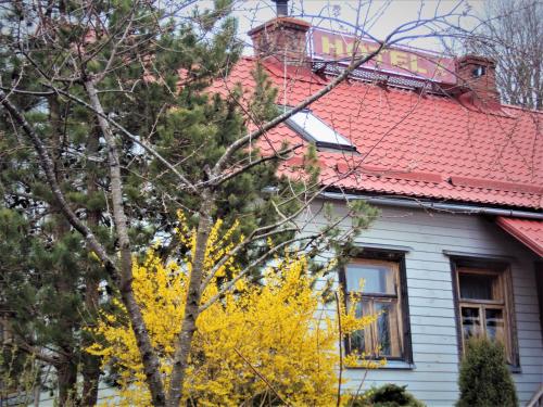 a house with a red roof and a yellow tree at Saule in Talsi