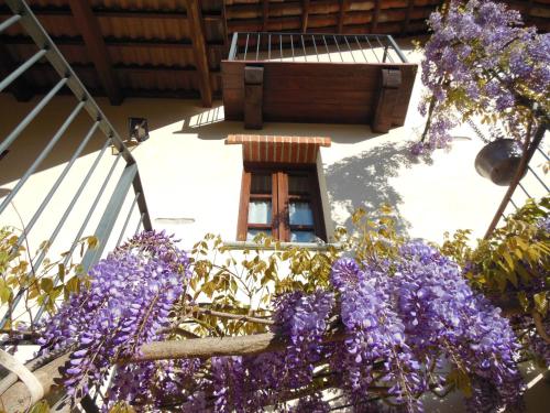 Zahrada ubytování Agriturismo Affittacamere Barbarossa