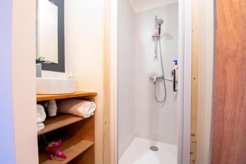 uma casa de banho com um chuveiro e um lavatório. em Studio cosy sur l’île de Nantes / Proche Tramway em Nantes