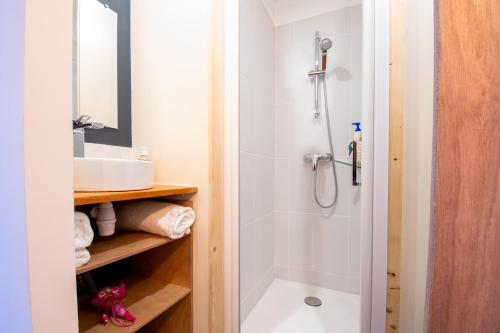 une salle de bain avec douche et lavabo dans l'établissement Studio cosy sur l’île de Nantes / Proche Tramway, à Nantes
