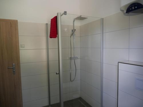 ducha con puerta de cristal y toalla roja en Seeoase Lychen, en Lychen