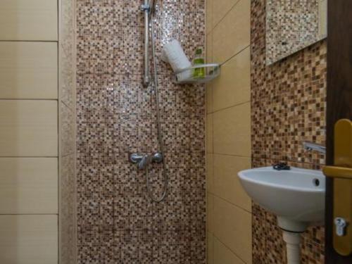 a bathroom with a shower and a sink at Apartment Carol private Yard with barbeque and parking in Sinaia